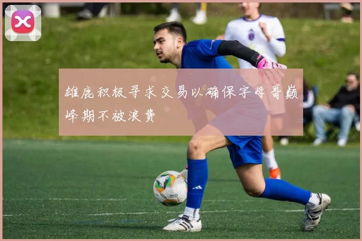 雄鹿积极寻求交易以确保字母哥巅峰期不被浪费